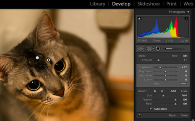 Lightroom Beta