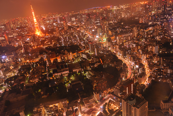 From Tokyo City View